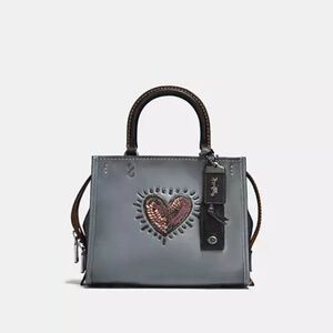 Coach X Keith Haring Rogue 25
